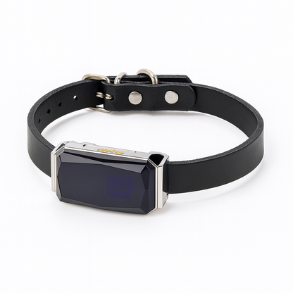 Collar GPS For Dogs