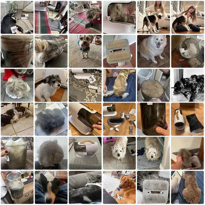 Vacuum Cleaner Cat Comb Trimmer Brush Shaver Hair Removal Pet Hair Clipper Dog Grooming Kit