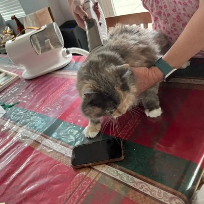 Vacuum Cleaner Cat Comb Trimmer Brush Shaver Hair Removal Pet Hair Clipper Dog Grooming Kit