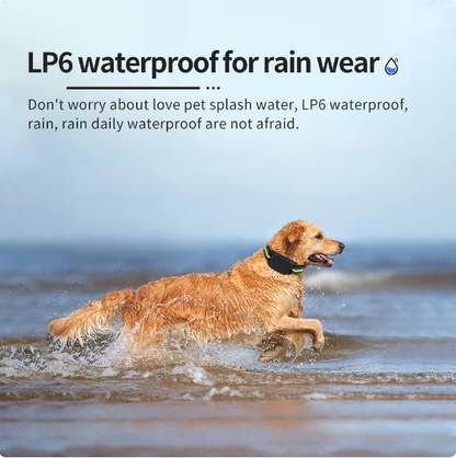 Train Without Harm: Safe and Humane Anti-Bark Dog Collar